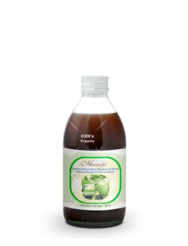 Ganoderma Lucidum: conoce el ingrediente emblemático de DXN